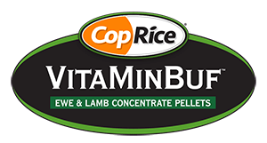 VitaMinBuf™ Ewe & Lamb Concentrate Pellets