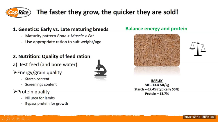 Webinar 3: Reducing Cost of Production - Improving Feed Conversion Efficiency
